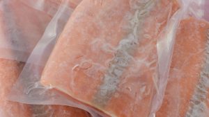 Gressler Inkjet Printer untuk Industri Frozen Food Gressler