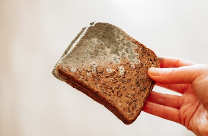 Apa itu produk reject di produksi f&b