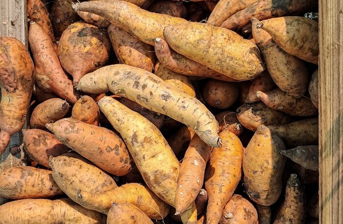 Tanda Tanda Bahan Kukusan Sudah Tidak Layak Digunakan