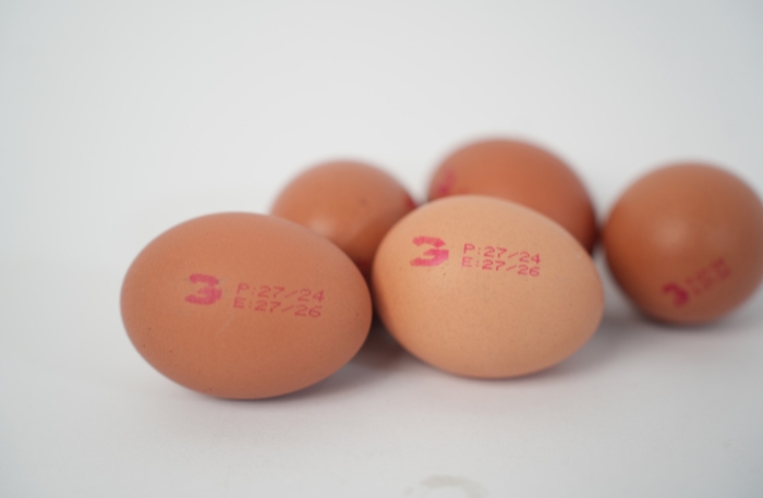 hasil cetak egg coder telur tinta merah 2