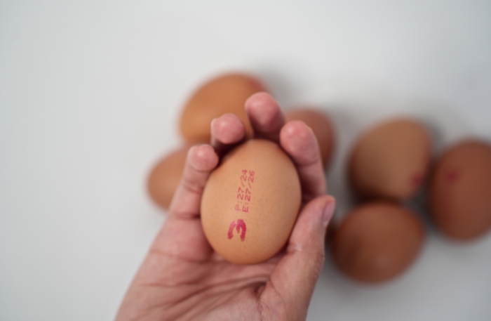 hasil cetak egg coder telur tinta merah