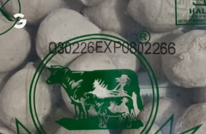 mesin coding expired date untuk coding di frozen food tij 2