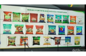 menteri pertanian beras fortifikasi detik finance
