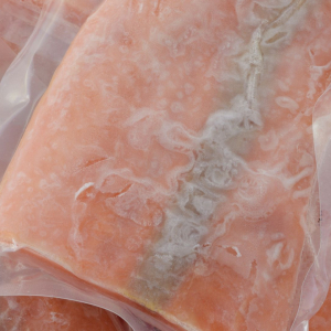 Gressler Inkjet Printer untuk Industri Frozen Food Gressler