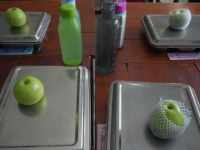 mbg di sekolah oleh bgn